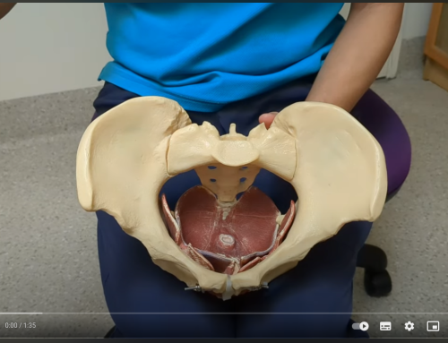 Videos uploaded on pelvic floor muscle training